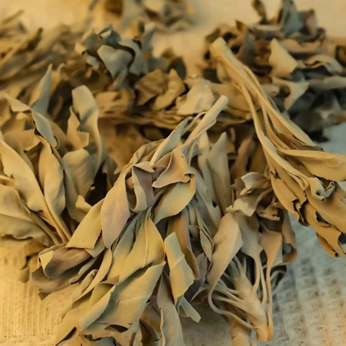 White Sage Smudge Stick