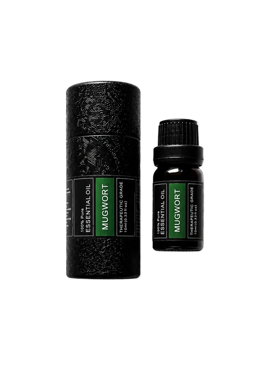 'Mugwort' essential oil bottle and packaging on a transparent background